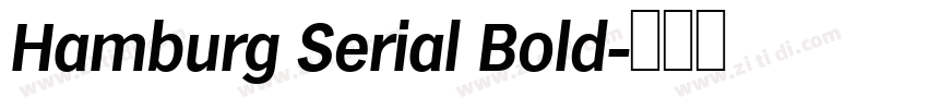 Hamburg Serial Bold字体转换